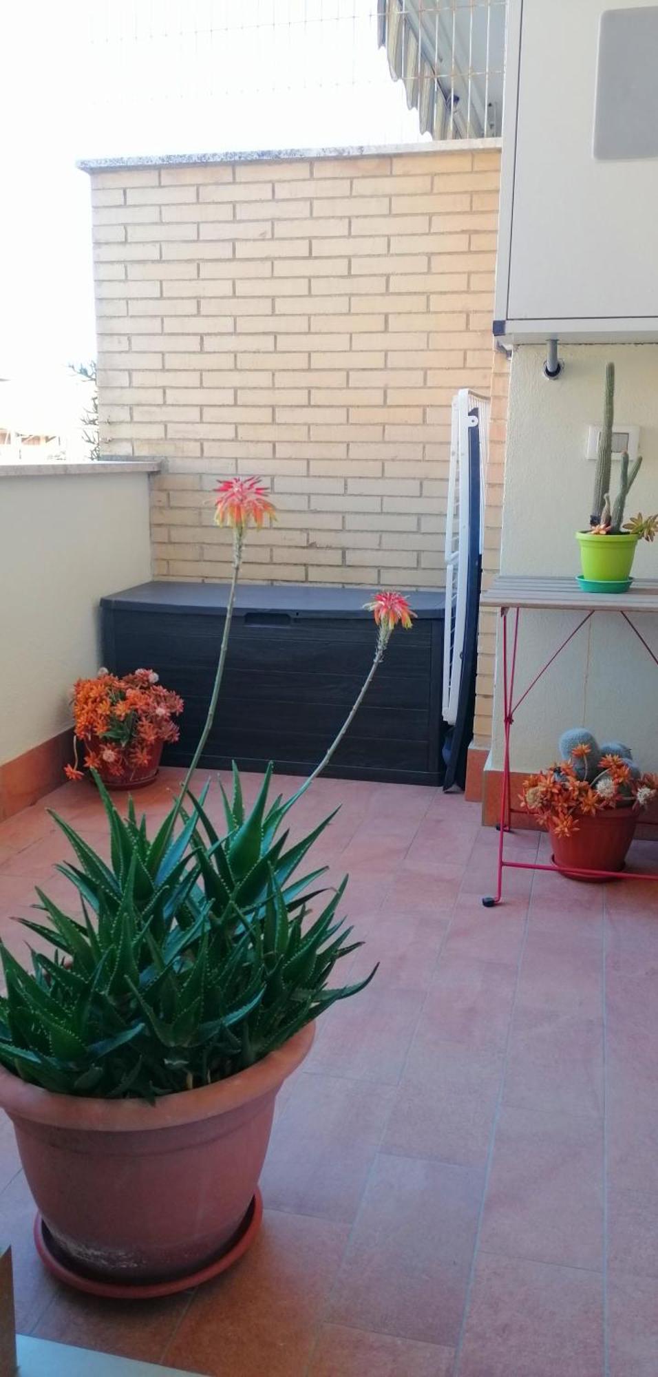 Ferienwohnung A Few Steps From The Sea Fiumicino Exterior foto